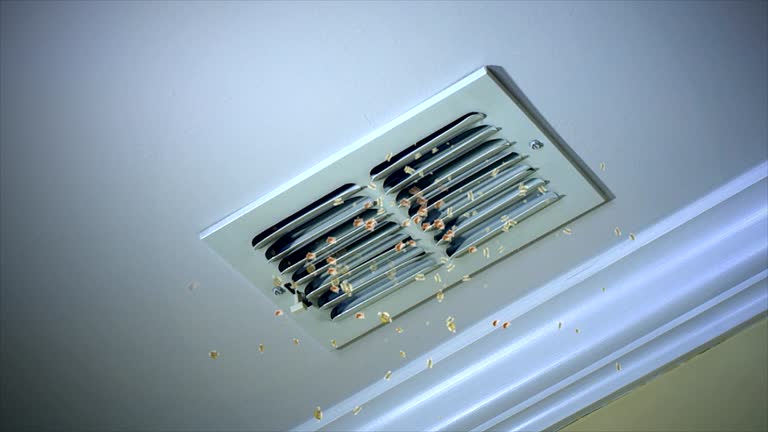 Best Best Air Duct Cleaning Company  in Bowmansville, PA